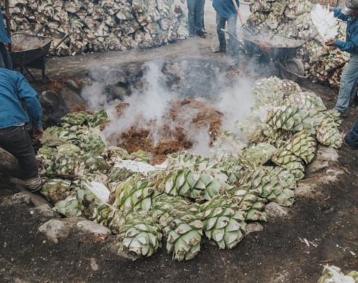 Mezcal Unión - Proceso de producción Cooking