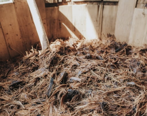 Mezcal Unión - Proceso de producción Fermentación