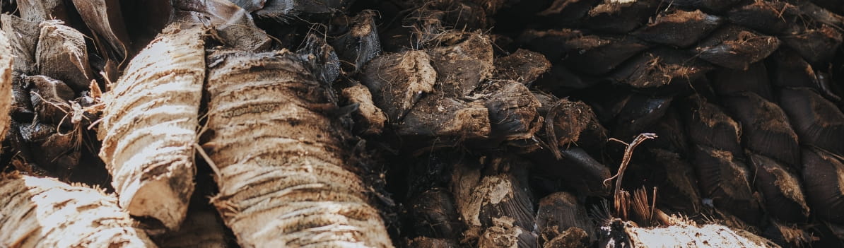Mezcal Unión - Production Process Milling