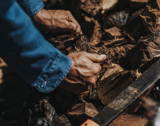 Mezcal Unión - Proceso de producción Molienda