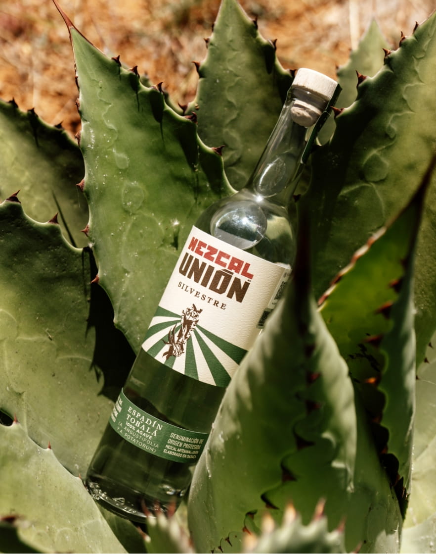 Mezcal Unión - Notas de Cata